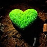 Volonterske akcije u sklopu projekta “ZELENO SRCE” – 23. 04.